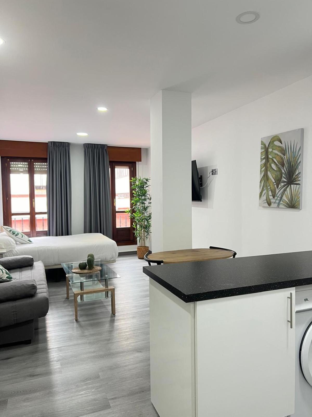 Apartamento Rosal Oviedo